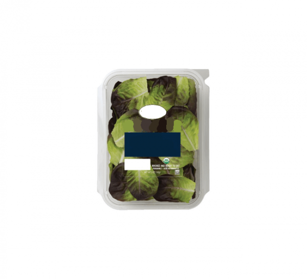 Organic Spring Mix